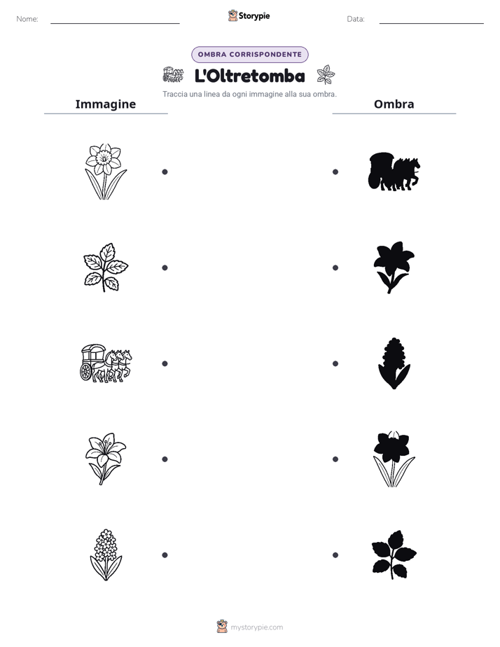 Corrispondenza Ombra