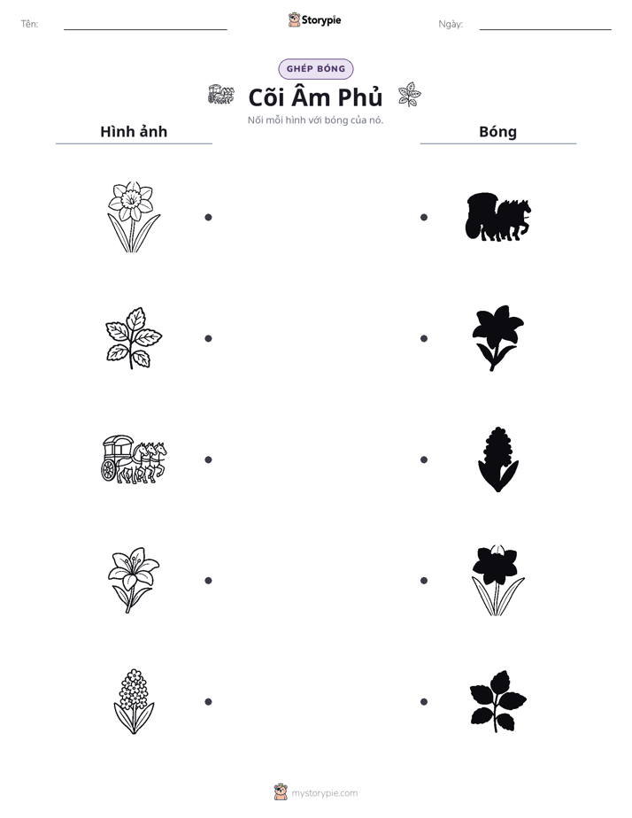Ghép Hình Bóng