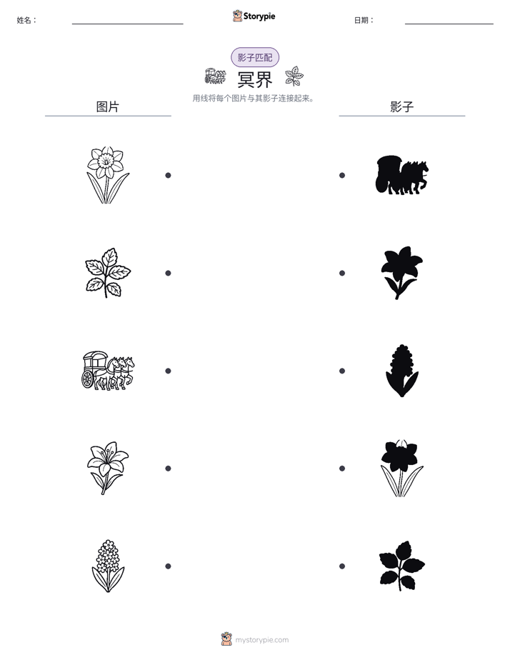 影子匹配