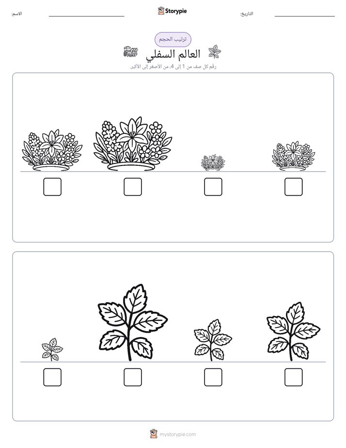 ترتيب الحجم