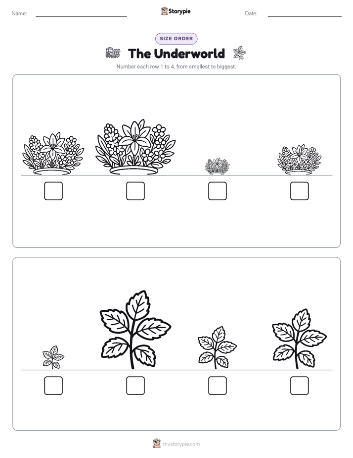 Size Order