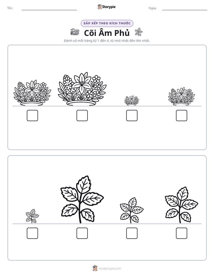 Thứ Tự Kích Thước