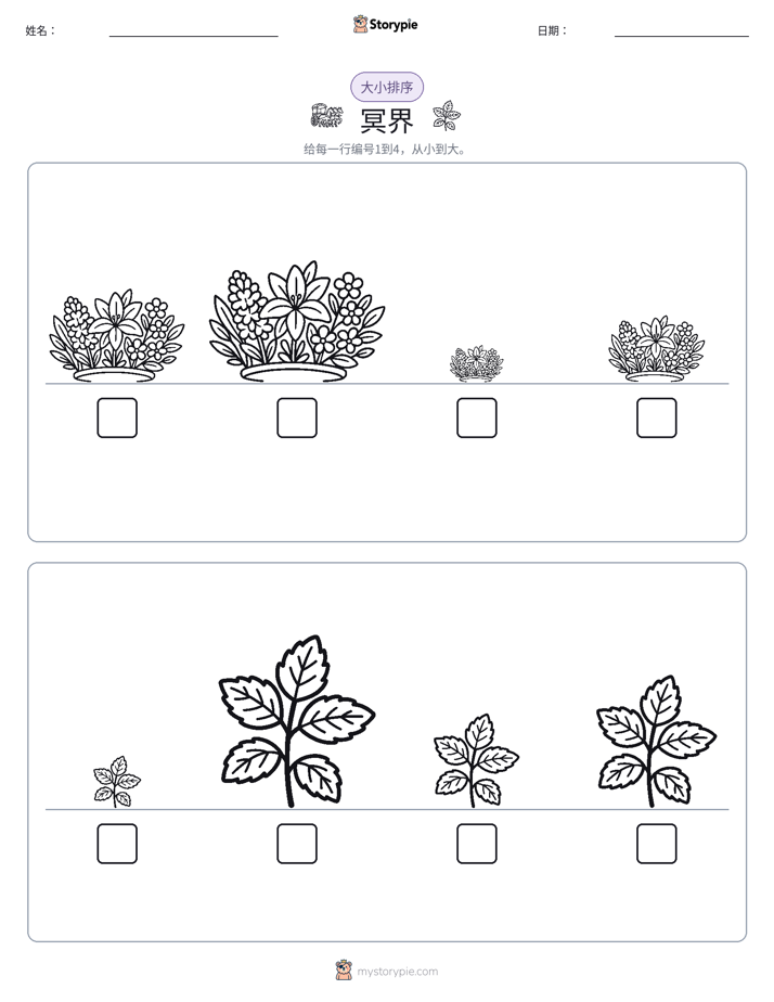 大小排序