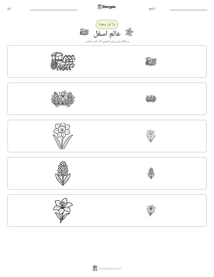 ترتیب دینا