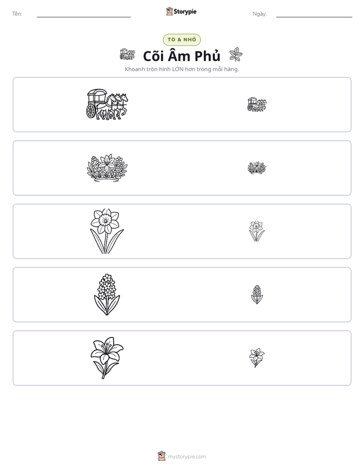 Phân Loại