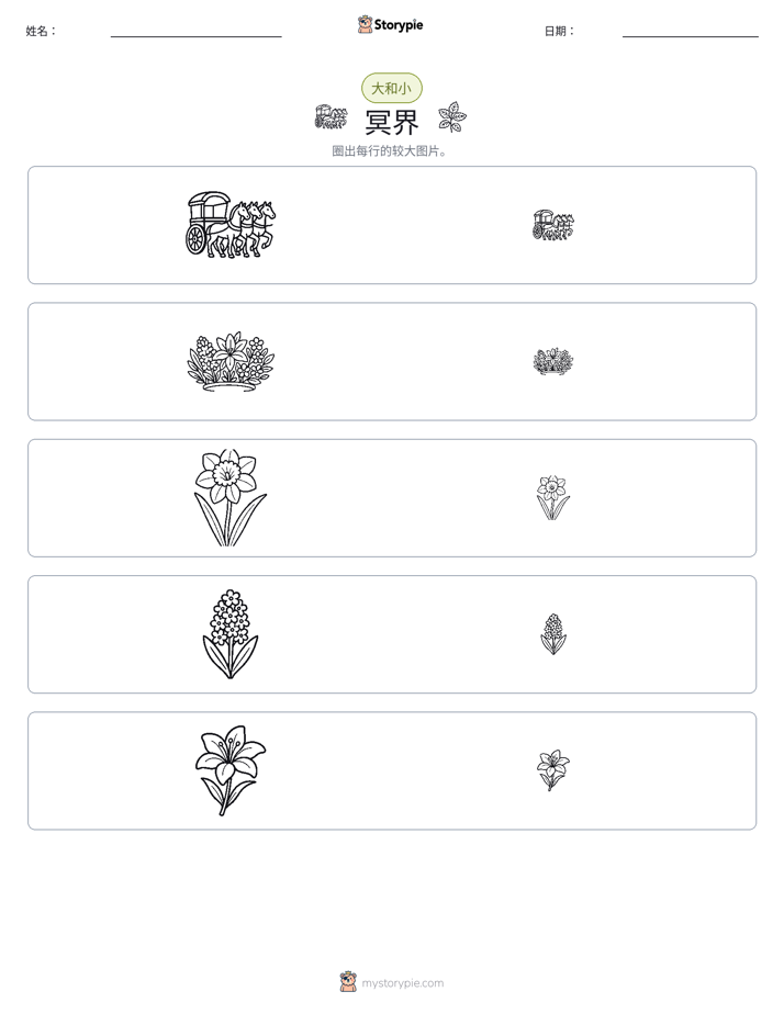 分类