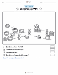 Aperçu de la feuille de travail imprimable Séquençage de l'ADN