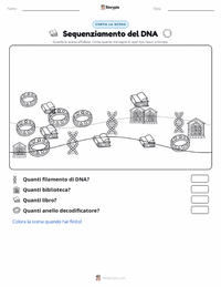 Anteprima della scheda stampabile di Sequenziamento del DNA