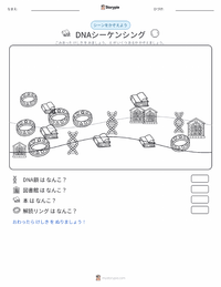 DNAシークエンシング の印刷可能ワークシートプレビュー
