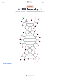 DNA Sequencing printable worksheet preview