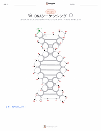DNAシークエンシング の印刷可能ワークシートプレビュー