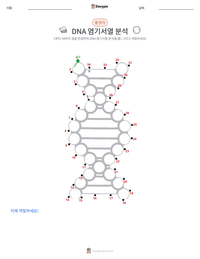 DNA 시퀀싱 인쇄 가능한 워크시트 미리보기