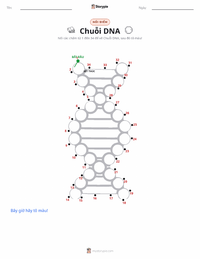 Xem trước tài liệu in sẵn Giải trình tự DNA
