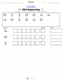 DNA Sequencing printable worksheet preview