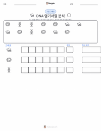 DNA 시퀀싱 인쇄 가능한 워크시트 미리보기