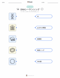 DNAシークエンシング の子供向け印刷可能ワークシート