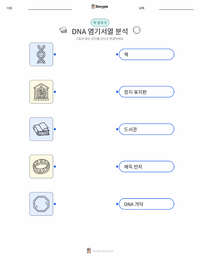 DNA 시퀀싱 어린이용 인쇄 가능한 워크시트