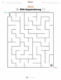 DNA-Sequenzierung druckbare Arbeitsblatt Vorschau