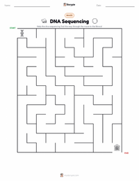 DNA Sequencing printable worksheet preview