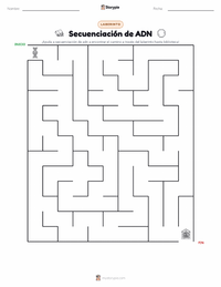 Vista previa de la hoja de trabajo imprimible de Secuenciación de ADN