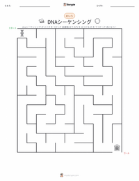 DNAシークエンシング の印刷可能ワークシートプレビュー