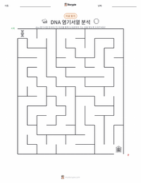 DNA 시퀀싱 인쇄 가능한 워크시트 미리보기