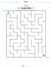 Xem trước tài liệu in sẵn Giải trình tự DNA