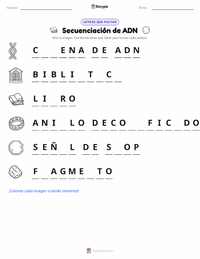 Vista previa de la hoja de trabajo imprimible de Secuenciación de ADN
