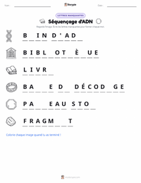 Aperçu de la feuille de travail imprimable Séquençage de l'ADN