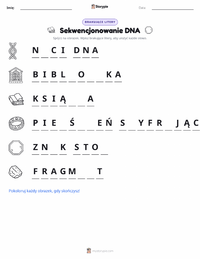 Podgląd drukowalnego arkusza ćwiczeń Sekwencjonowanie DNA