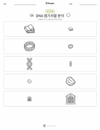 DNA 시퀀싱 인쇄 가능한 워크시트 미리보기