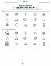 Vista previa de la hoja de trabajo imprimible de Secuenciación de ADN