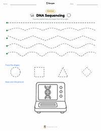 DNA Sequencing printable worksheet preview