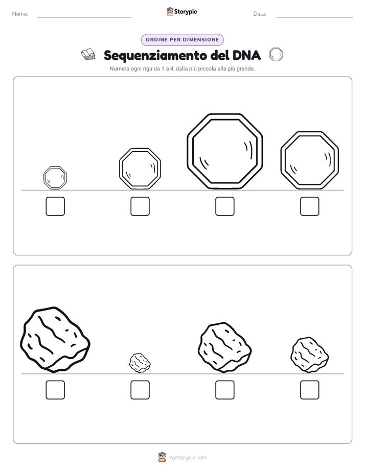Ordine di Dimensione