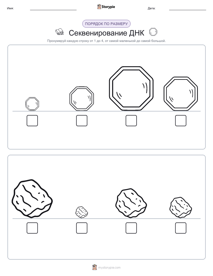 Размеры в порядке