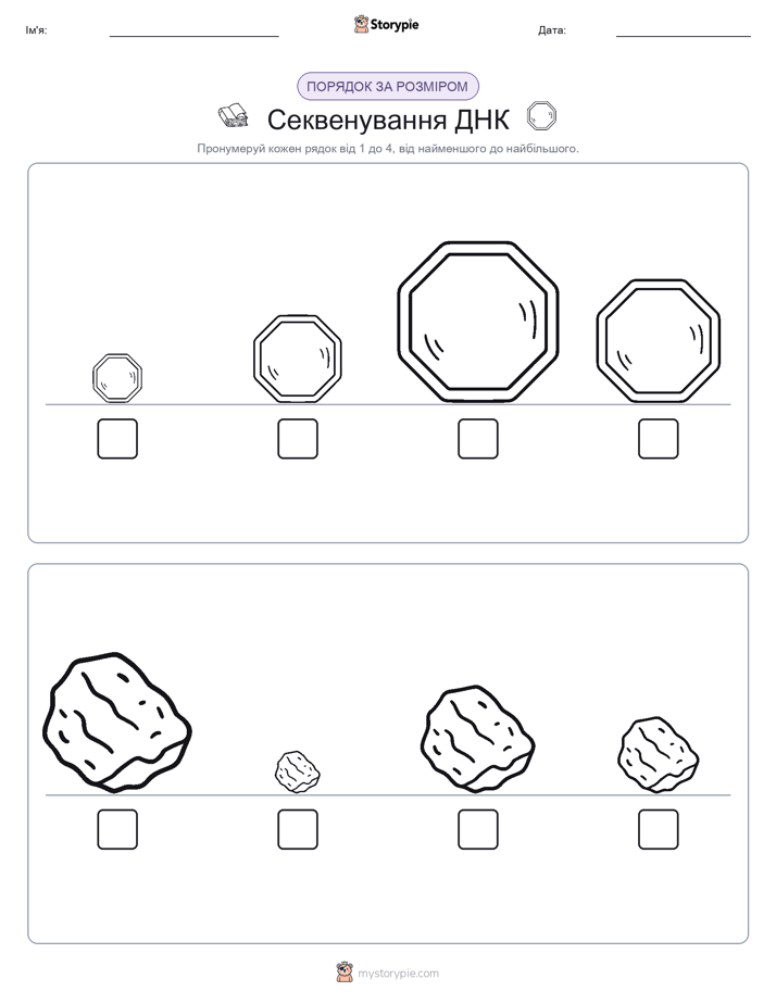 Порядок Розміру