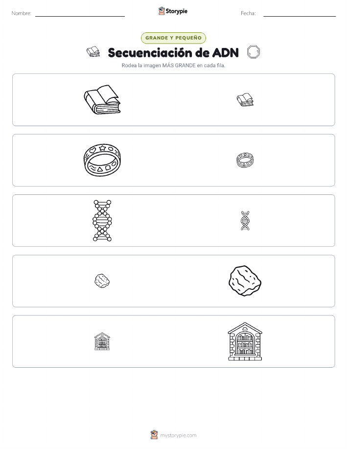 Clasificación