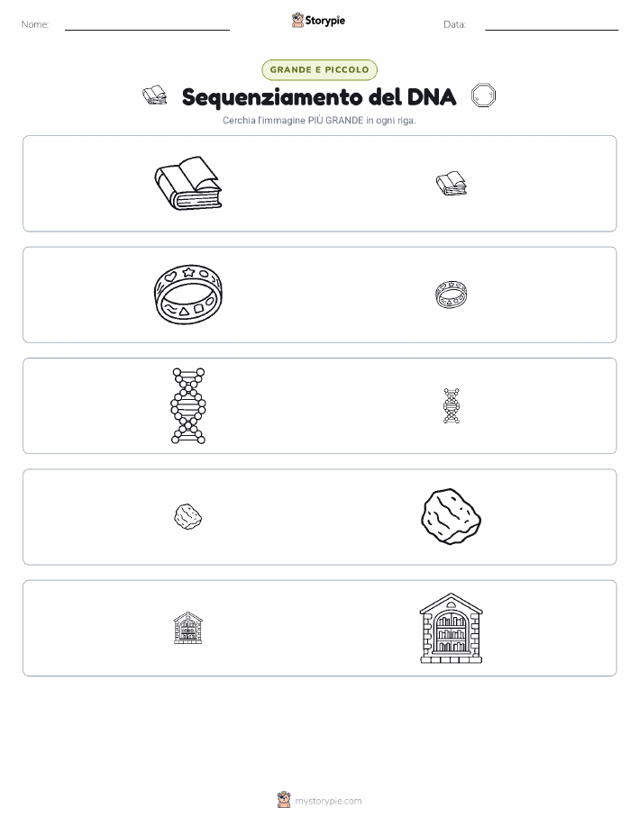 Ordinamento