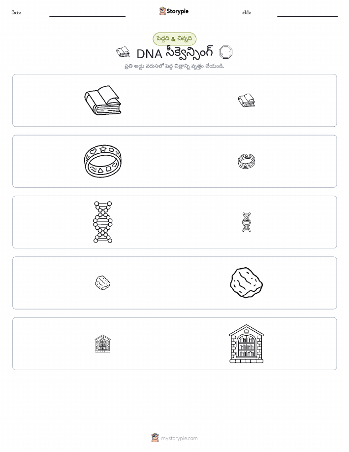 వర్గీకరణ