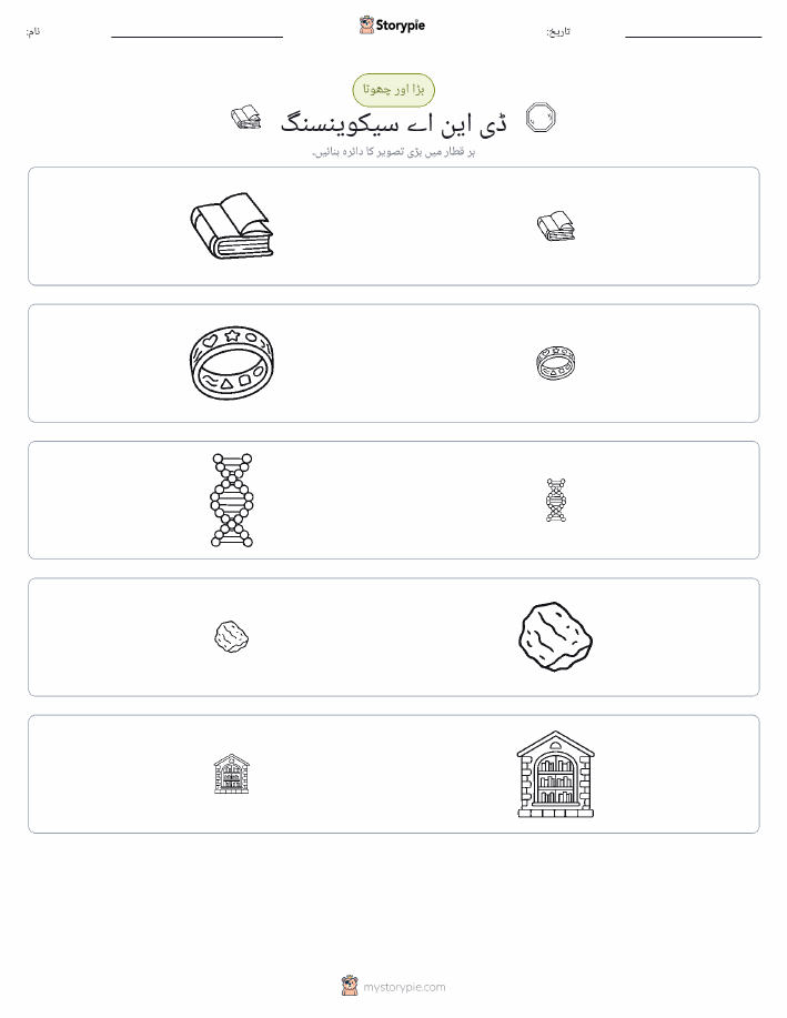 ترتیب دینا