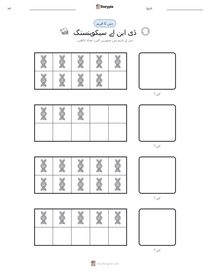 دس کا فریم