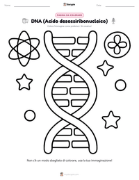 Pagina da colorare di DNA (Acido desossiribonucleico) per bambini