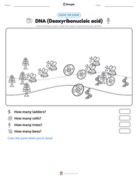 DNA (Deoxyribonucleic acid) printable worksheet preview