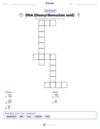 DNA (Deoxyribonucleic acid) printable worksheet preview