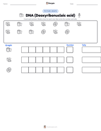 DNA (Deoxyribonucleic acid) printable worksheet preview