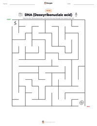 DNA (Deoxyribonucleic acid) printable worksheet preview