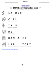 DNA (Deoxyribonucleic acid) printable worksheet preview