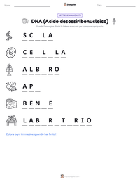 Anteprima della scheda stampabile di DNA (Acido desossiribonucleico)