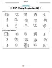DNA (Deoxyribonucleic acid) printable worksheet preview