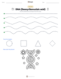 DNA (Deoxyribonucleic acid) printable worksheet preview